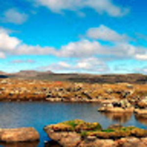 Meet your Posher, Brennan